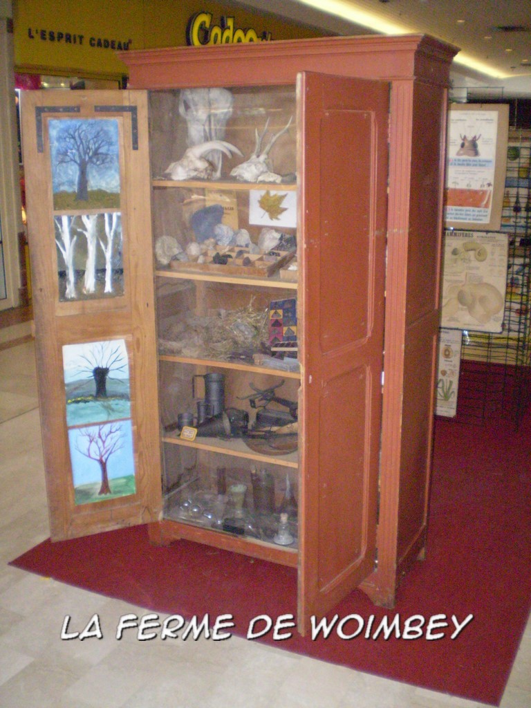 exposition vieille école d'autrefois, l'armoire des sciences, animations en galerie marchande