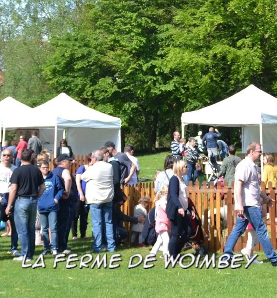 Image Description